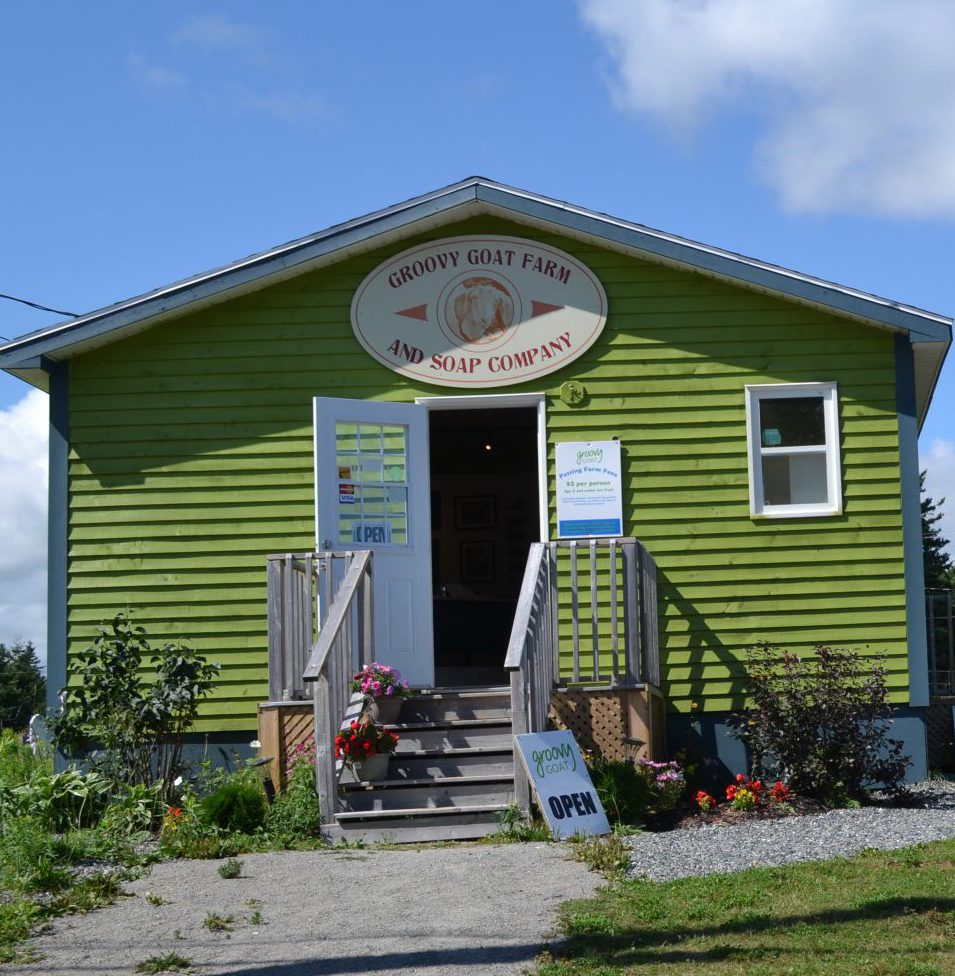 Our Story Groovy Goat Farm & Soap Company Ingonish Nova Scotia Canada